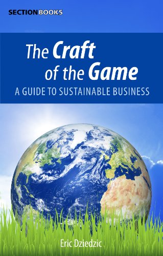 The Craft of the Game: A Guide to Sustainable Business (English Edition)