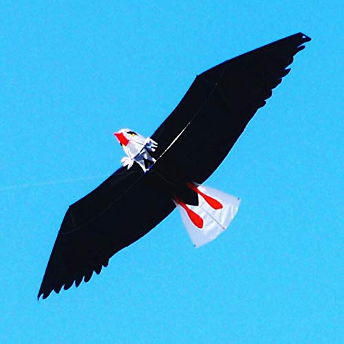 Tylyund Cometas Eagle Kite con Línea De Mango Kite Surf para Adultos Niños Flying Windsock Soft Kite Power Kite Power Kite