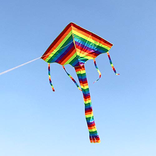 Tylyund Cometas Rainbow Kite Surf Juguetes para Niños Kites Cerf Volant Kite Factory Surf Latawiec Paracaídas Flying Outdoor Eagle