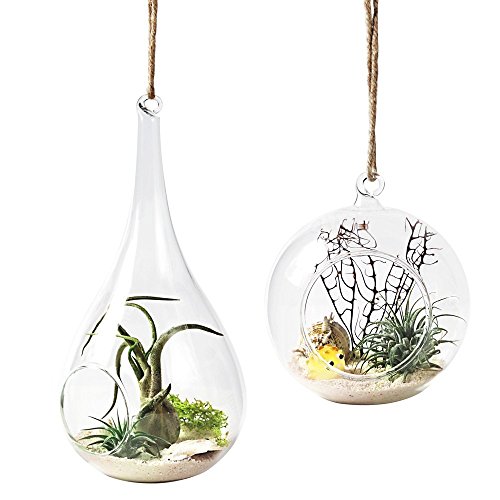 Mkouo 2 Unidades para Colgar Maceta de depósito de jarrón de Cristal del terrario Flor Maceta Decoración del hogar - Orb y lágrima