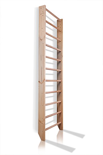 Escalera Sueca Sport-0-220 Espaldera para Gimnasio, Espaldera de Fitness, Complejo Deportivo de Gimnasia, Gimnasia de los niños en casa, Barras