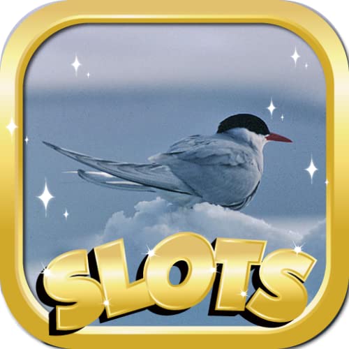 Las Vegas Slots Free : Arctic Riesgo Edition - Free Vegas Style Casino Slots Game & Spin To Win Tournaments