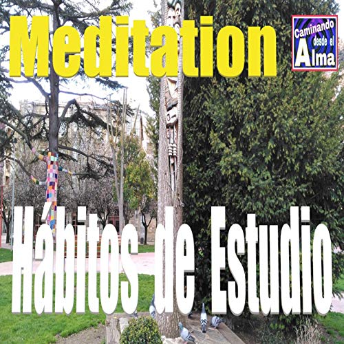 Meditación. Hábitos de Estudio.