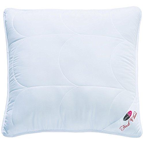 CelinaTex First Class Almohada con Cierre de Cremallera Microfibra 45 x 45 cm