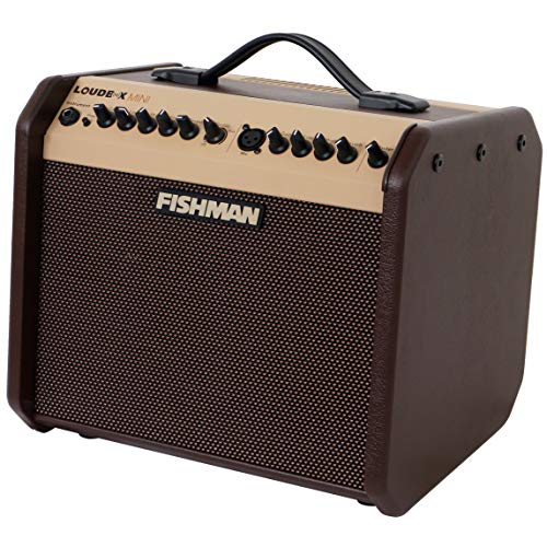 Fishman Loudbox Mini