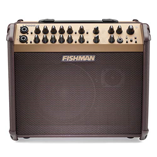 Fishman PRO-LBT-600 Loudbox Artist - Amplificador de guitarra acústica (Bluetooth, 120 W)