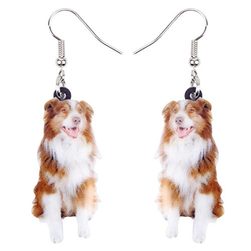 ZHWM Aretes Pendientes De clip Aros Acrílico Pendientes De Animales Felices Grandes Largas Cuelgan Gota Novedad Dibujos Animados Animal Joyería para Mujeres Niñas Adolescentes Bijoux