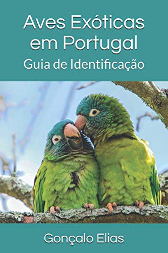 Aves Exóticas em Portugal: Guia de Identificação