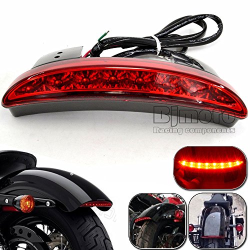 BJ Global Guardabarros trasero LED luz trasera para Harley Davidson XL883L XL883N Iron XL1200V (lente roja)