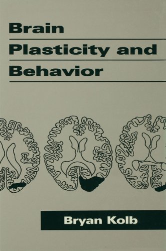 Brain Plasticity and Behavior (Distinguished Lecture Series) (English Edition)