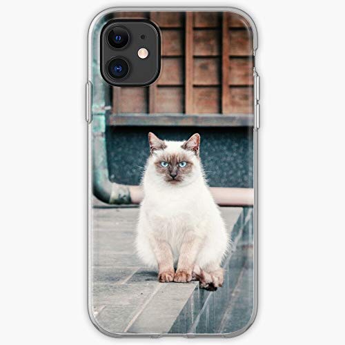 Cat Curious Cute Asia Adorable Front Beautiful Animal Phone Case For All iPhone, iPhone 11, iPhone XR, iPhone 7 Plus/8 Plus, Huawei, Samsung Galaxy Illustration Stars Digital Rabbit Cute Bun