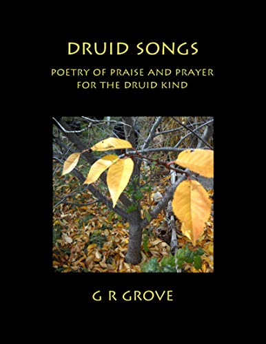 Druid Songs: Poetry of Prayer and Praise for the Druid Kind (English Edition)