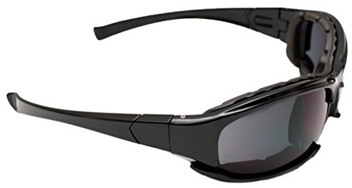 Eagle ARINDROPOLAW Indropolaw: Gafas de protección Laboral con Lente polarizada. Indicadas para: Trabajo + Moda + Sport, Negro