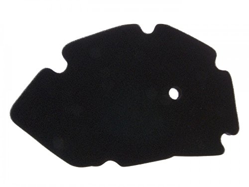 Filtro de Aire para Gilera DNA, VX, VXR, Piaggio X9