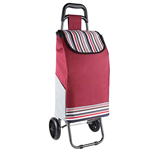 GAXQFEI Carrito de Compras Plegable Sobre Ruedas Y Tapa Carro de la Compra Liviano Portátil con Bolsa Desmontable Impermeable para Las Mujeres Hombres Discapacitados Vieja Dama, F,E