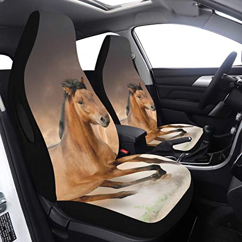 Juego de 2 piezas Fundas Asientos Caballos Sunset Fundas de asiento de automóvil personalizadas Compatible para bolsas de aire Ajuste universal para automóviles Camiones y SUV Fundas de asiento univ