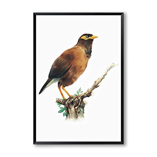 JXMK Hermoso pájaro Minimalista Moderno Acuarela Lienzo Pintura Arte Cartel Mural decoración del hogar 40x50 cm sin Marco