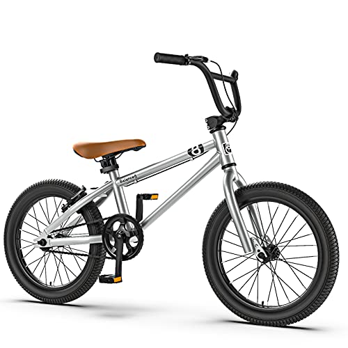 MIAOYO 16/20 Pulgadas Bicicleta Infantil,Boys Girls BMX,Asiento Ajustable Bicicleta Montaña con Ruedas Auxiliares(Doble V-Freno),Plata,20"