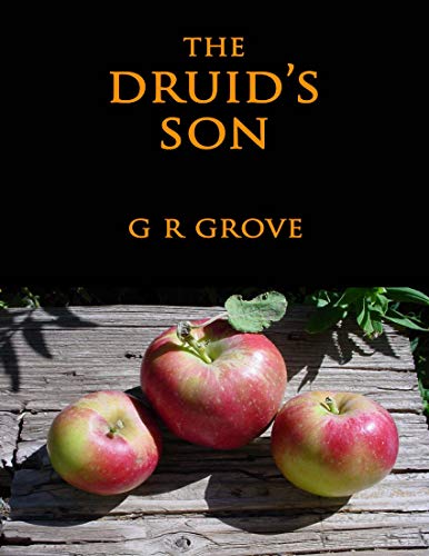 The Druid's Son (English Edition)