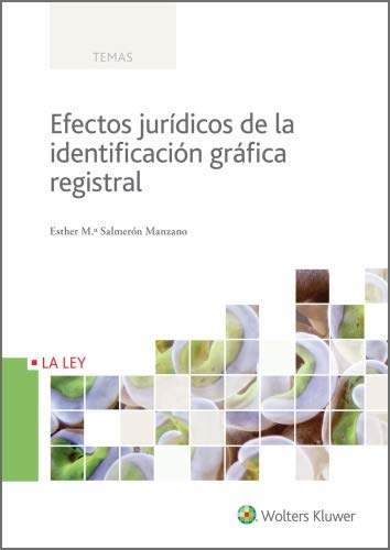 Efectos jurídicos de la identificación gráfica registral (Temas La Ley)