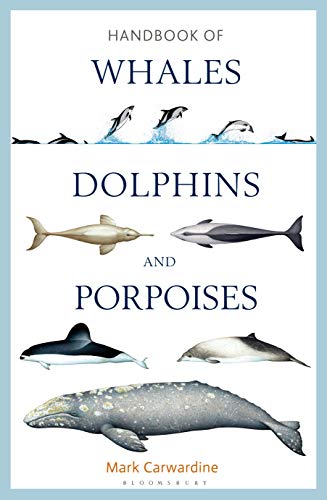 Handbook of Whales, Dolphins and Porpoises [Idioma Inglés]