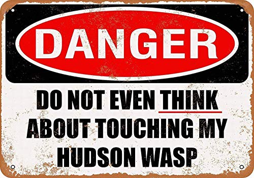 HUIOP Do Not Touch My Hudson Wasp Original Vintage Design Bar Rules Tin Metal Wall Art Signage - Póster de impresión de hojalata gruesa para barra 20 x 30 cm