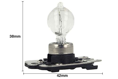 Lámpara halógena PH16W 12V16W Sustituir 2801 para luz intermitente de marcha atrás antiniebla