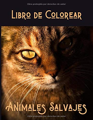 Libro de Colorear - Animales Salvajes: Animales salvajes - Libro de colorear para adultos - Impala, marmota, conejo, cocodrilo y más