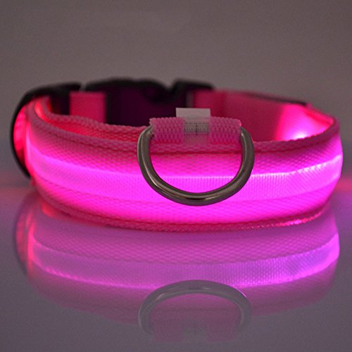 MINBB Novedad LED Collar Luminoso Perro Accesorios Noche Intermitente LED Collar Nylon Pet Arnés