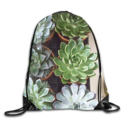 shenguang Colorido Suculentas Plantas Verdes Mochila Deportiva con Cordón Gimnasio Saco De Yoga Mochila Bolsa De Cuerda Bolsa De Almacenamiento De Viaje para Mujeres Y Hombres Adecuado para La Escu