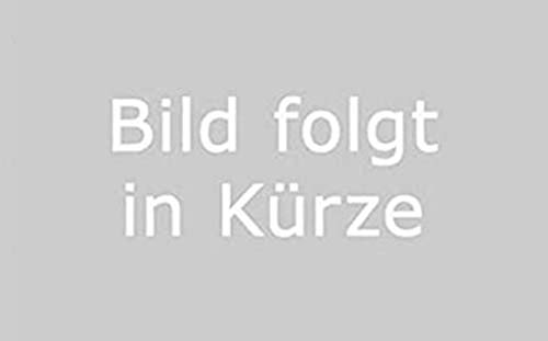 2 neumáticos Kenda K262 2.75 – 17, cinta de llanta para Zündapp Hercules 2 3/4 x 17 pulgadas