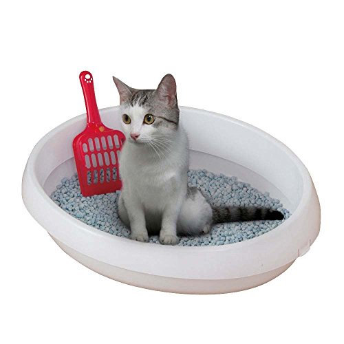 Iris Ohyama, Bandeja de arena / arenero gatos, llanta extraíble, interior pulido, compacto, pala incluida, para gato - Cat Toilet PNE-480 - Blanco