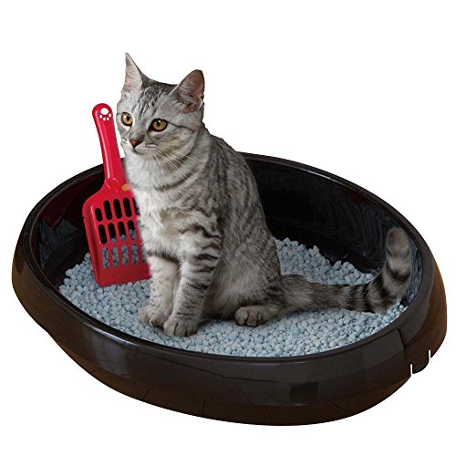 Iris Ohyama, Bandeja de arena / arenero gatos, llanta extraíble, interior pulido, compacto, pala incluida, para gato - Cat Toilet PNE-480 - Negro