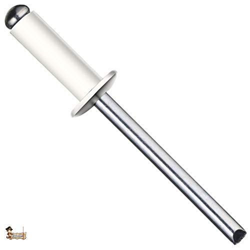 BricoLoco Remache blanco tubular estándar Pop DIN 7337. Ciego. Cabeza redonda alomada de aluminio y vástago de acero. Industrial. Especial matrícula. (25, 3,2x6)