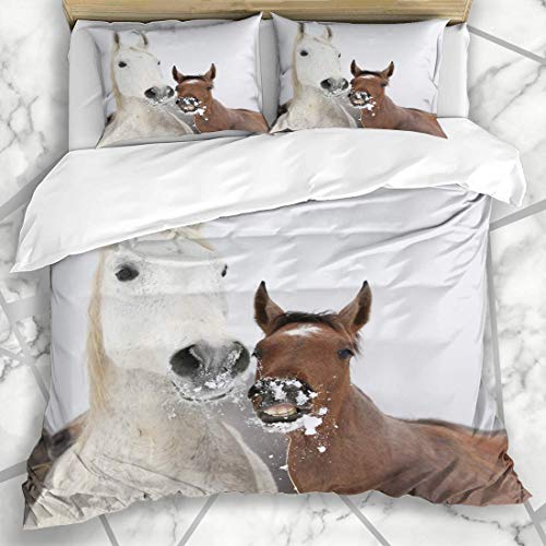 Conjuntos de funda nórdica Yegua Potro Mirándote en aguanieve Color de invierno Cuarto de descanso Animales fríos Lote de vida silvestre Pura sangre Microfibra suave Dormitorio decorativo con 2 fundas