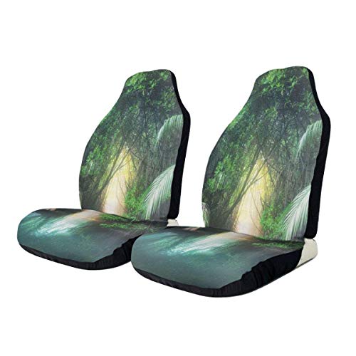 Drew Tours Fundas de Asiento de Coche Jungle Tropical Lake Mangrove Rainforest Protector de Asiento de Coche Grupo de Cojines Grupo Universal Funda de Asiento de Cubo