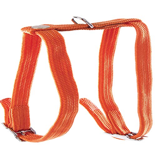 HARNAIS H NYL 10-35/40CM ORANGE