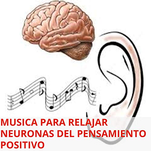 Música Para Mejorar Rendimiento De Neuronas