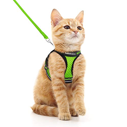 rabbitgoo Arnes Gatos y Correa 150cm Chaleco Ajustable Antitirones Reflectante Cómodo Correa Mágica para Fácil de Poner y Quitar para Paseo Diario Arnes para Perro Pequeño Conejos Gatos M Verde