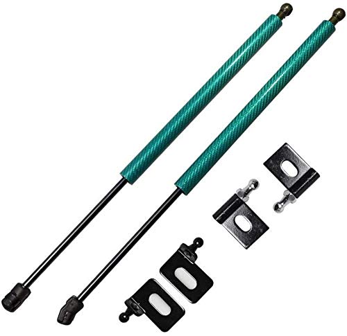 YOUYOUNX, para 1994-2001 / Fit, para Acura Integra DC2 Capó Delantero Capó Puntales de Gas Soporte de elevación Amortiguador Fibra de Carbono (Color: Fibra de Carbono Dorada) -Carbon_Fiber_Green