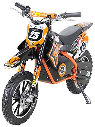 Gepard - Motocicleta mini de Enduro y motocross, para niños, eléctrica, horquilla reforzada, 500 W, 36 V