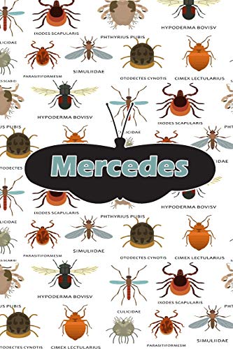 Mercedes: Bug Insect Handwriting FOR K-3 Students Practice Paper Book Notebook Journal book 120 pages 6"x9"