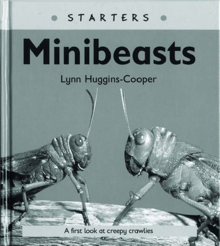 Read Write Inc. Comprehension: Module 24: Children's Books: Mini Beasts Pack of 5 books by Huggins-Cooper, Lynn, Miskin, Ruth (2007) Paperback