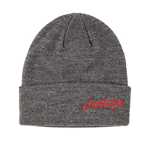 Anti Hero - Gorro de monopatín, diseño con texto "Beanie Script", color gris y rojo