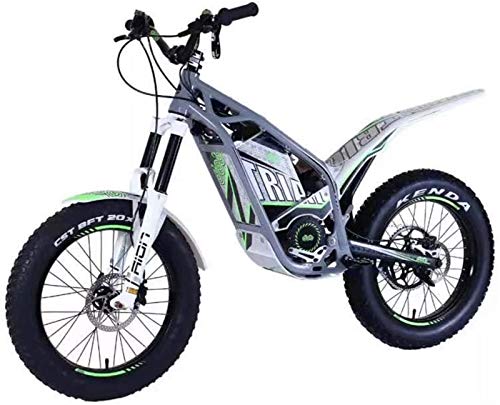 Bicicletas Eléctricas, Bici de suciedad D1 20 y 24 pulgadas Bicicleta de suciedad eléctrica para adultos, motocicleta eléctrica con batería 30Ah Motor 1200W DC, freno de disco hidráulico, gris ,Bicicl