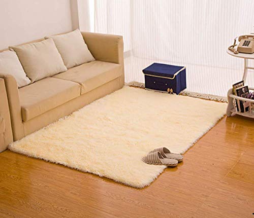 CNFQ Shaggy alfombras de Pelo Largo alfombras Salon alfombras de habitacion moquetas Sala de Estar (Beige, 120 x 80 cm)