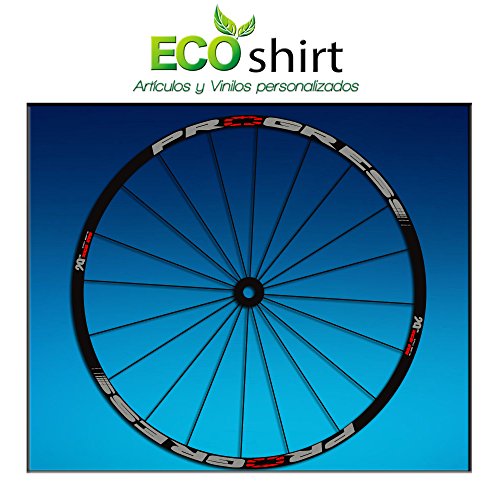 Ecoshirt K0-2I4V-H8UE Pegatinas Stickers Llanta Rim Progress Xcd EVO Am44 MTB Downhill, Gris 29"