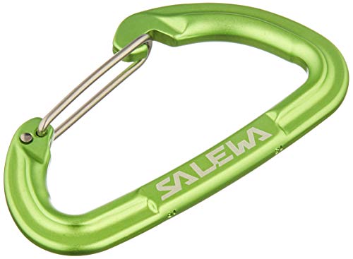 Salewa Hot G3 Wire Carabiner, Unisex-Adult, Green, Uni