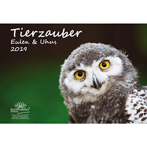 Seelenzauber Calendrier mural 2019 au motif hiboux et chouettes Format A3 Coffret cadeau avec 1 carte de vœux et 1 carte de Noël Oiseaux, volatiles, nature, animaux