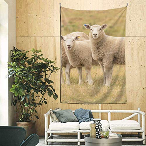 JIUCHUAN 60x90 Pulgadas Paredes Que cuelgan una Oveja en la Pradera con tapices de Sol de noviembre para Hombres Arte de Pared para apartamento Dormitorio telón de Fondo decoración del hoga